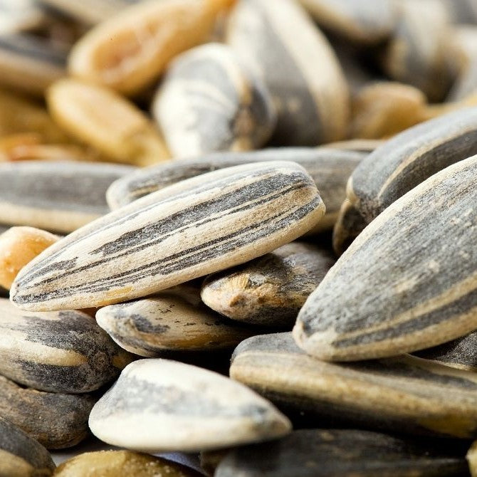 8 Healthy Ways to Add Sunflower Seeds To Your Diet